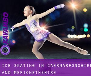 Ice Skating in Caernarfonshire and Merionethshire