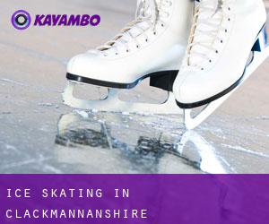 Ice Skating in Clackmannanshire
