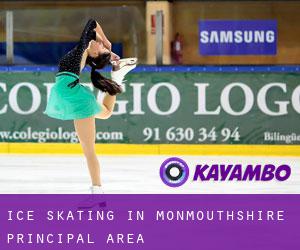 Ice Skating in Monmouthshire principal area