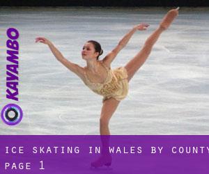 Ice Skating in Wales by County - page 1