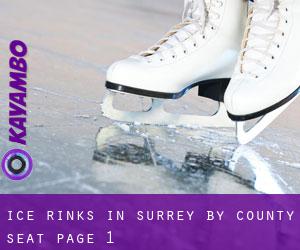 Ice Rinks in Surrey by county seat - page 1