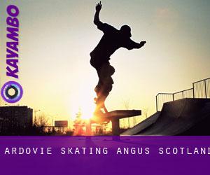 Ardovie skating (Angus, Scotland)