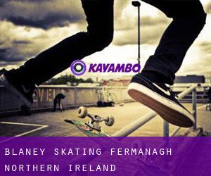 Blaney skating (Fermanagh, Northern Ireland)