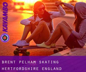 Brent Pelham skating (Hertfordshire, England)
