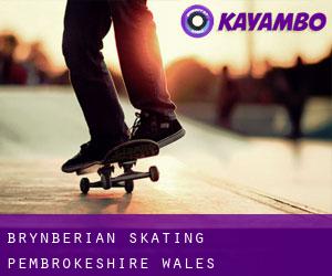 Brynberian skating (Pembrokeshire, Wales)