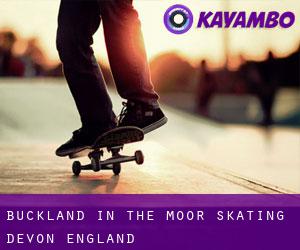Buckland in the Moor skating (Devon, England)
