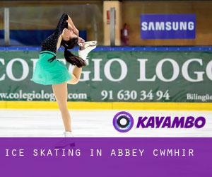 Ice Skating in Abbey-Cwmhir