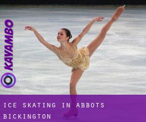 Ice Skating in Abbots Bickington
