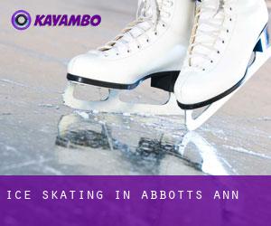 Ice Skating in Abbotts Ann