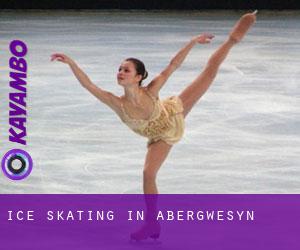 Ice Skating in Abergwesyn