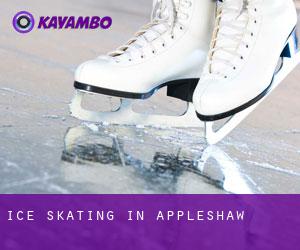 Ice Skating in Appleshaw Ice Skating in Appleshaw