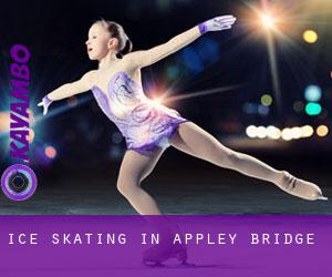 Ice Skating in Appley Bridge