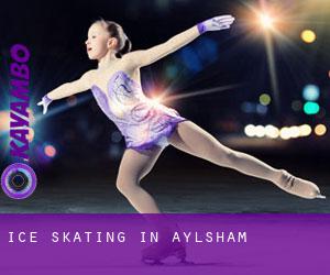 Ice Skating in Aylsham Ice Skating in Aylsham