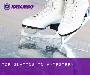 Ice Skating in Aymestrey Ice Skating in Aymestrey