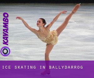 Ice Skating in Ballydarrog