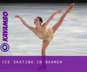 Ice Skating in Barmer