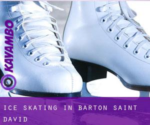 Ice Skating in Barton Saint David