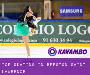 Ice Skating in Beeston Saint Lawrence Ice Skating in Beeston Saint Lawrence