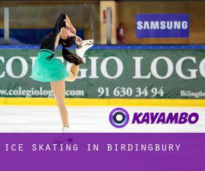 Ice Skating in Birdingbury