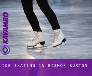 Ice Skating in Bishop Burton