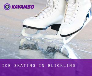 Ice Skating in Blickling