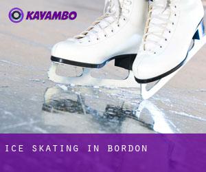 Ice Skating in Bordon Ice Skating in Bordon