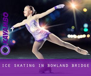 Ice Skating in Bowland Bridge