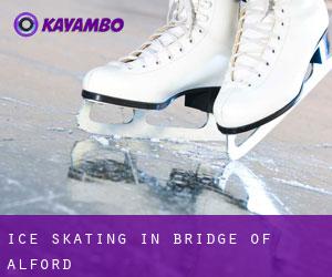 Ice Skating in Bridge of Alford