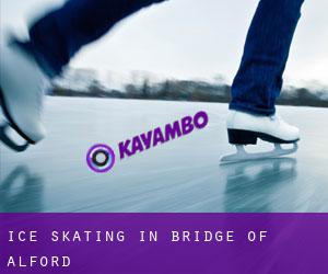 Ice Skating in Bridge of Alford