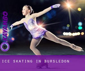 Ice Skating in Bursledon Ice Skating in Bursledon