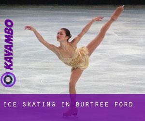 Ice Skating in Burtree Ford