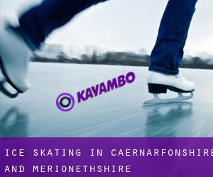 Ice Skating in Caernarfonshire and Merionethshire