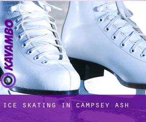 Ice Skating in Campsey Ash