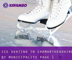 Ice Skating in Carmarthenshire by municipality - page 1