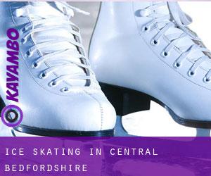 Ice Skating in Central Bedfordshire
