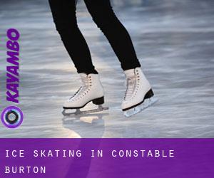 Ice Skating in Constable Burton