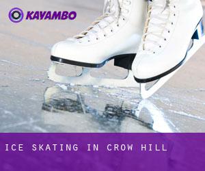 Ice Skating in Crow Hill Ice Skating in Crow Hill