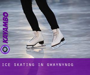 Ice Skating in Gwaynynog