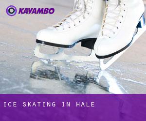 Ice Skating in Hale Ice Skating in Hale