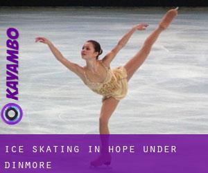Ice Skating in Hope under Dinmore