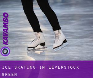 Ice Skating in Leverstock Green