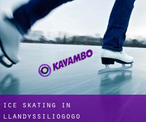Ice Skating in Llandyssiliogogo