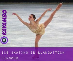 Ice Skating in Llangattock Lingoed