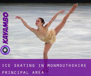 Ice Skating in Monmouthshire principal area