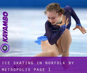Ice Skating in Norfolk by metropolis - page 1