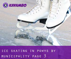 Ice Skating in Powys by municipality - page 3