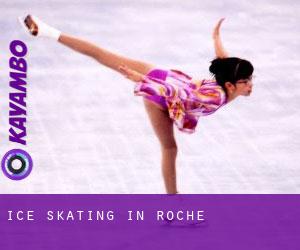 Ice Skating in Roche