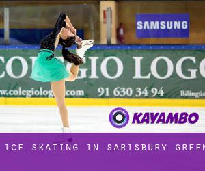 Ice Skating in Sarisbury Green