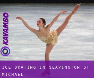 Ice Skating in Seavington st. Michael