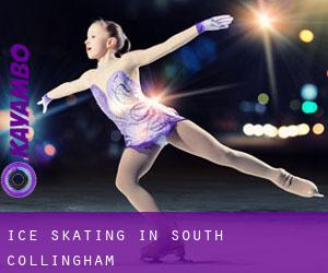 Ice Skating in South Collingham
